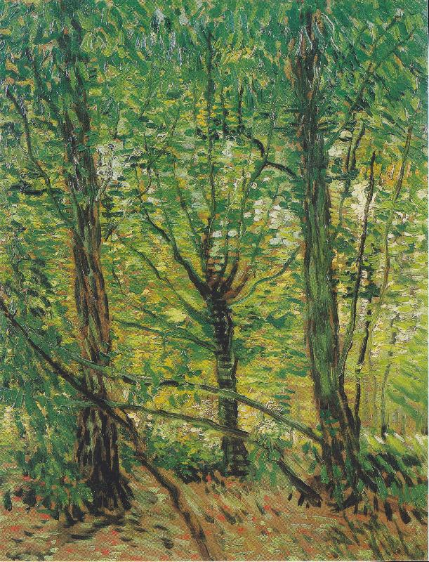 Trees and Undergrowth, Vincent Van Gogh